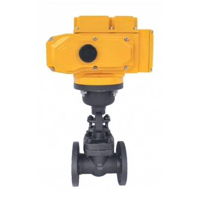 Van Cầu Thép Rèn Điều Khiển Điện (Forged Steel Electric Actuator Globe Valve)