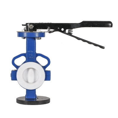 Van Bướm Đĩa Đệm Bọc Lót PTFE