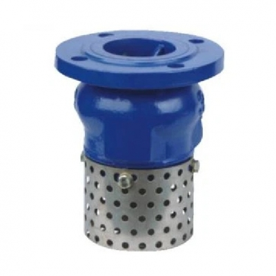 Rọ Bơm Gang PN16 Mặt Bích | Van Chân Gang Cast Iron Foot Valve
